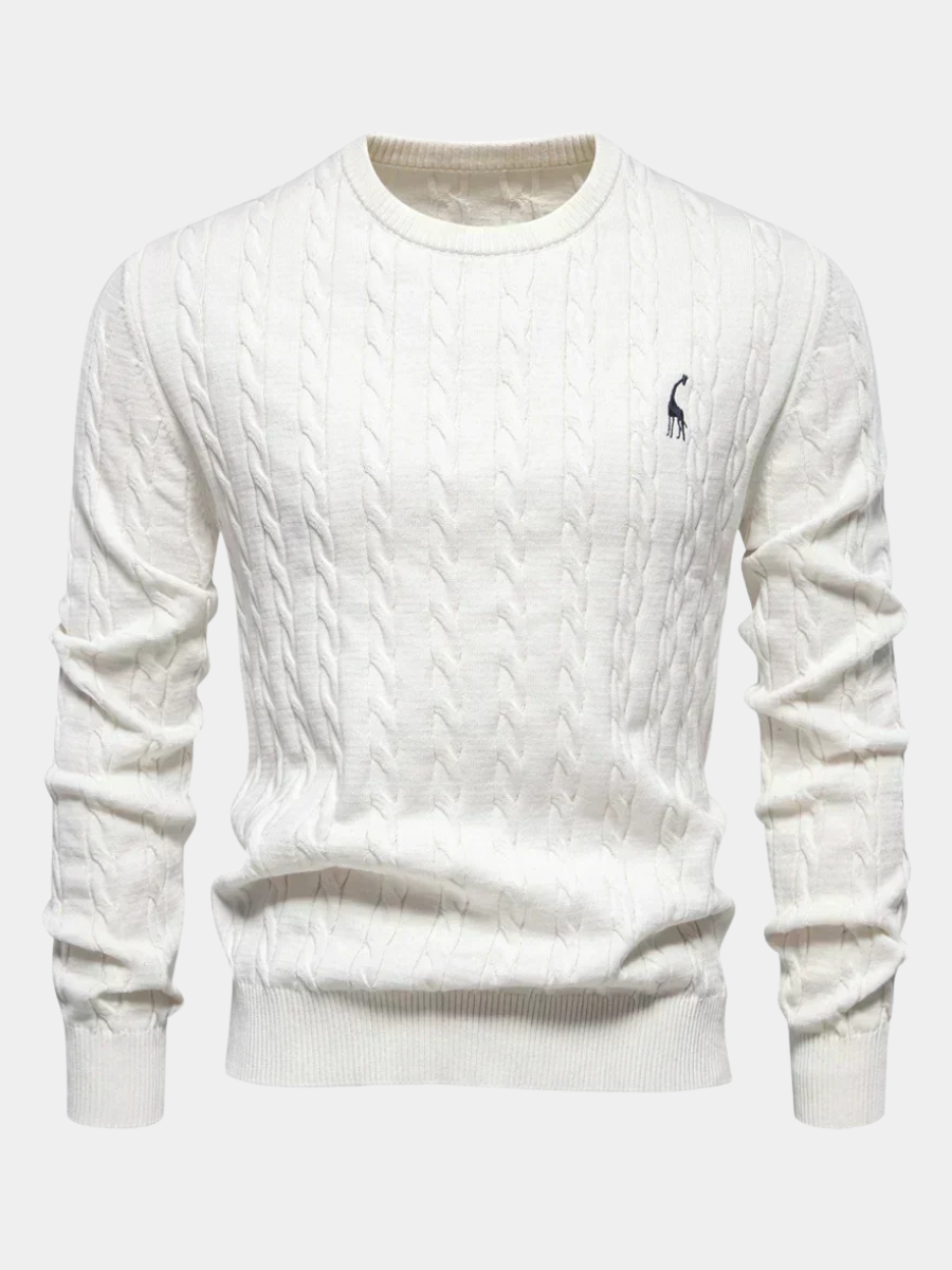 Men's Textured Cable Sweater-Sweater-Azzella London